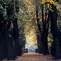 Der botanische Garten auf dem sogenannten Alten Friedhof gehört zu Mindens Sehenswürdigkeiten