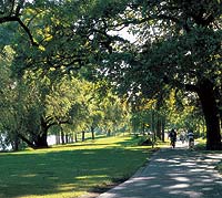 Hier trifft sich der naturbegeisterte Mindener: die Weserpromenade