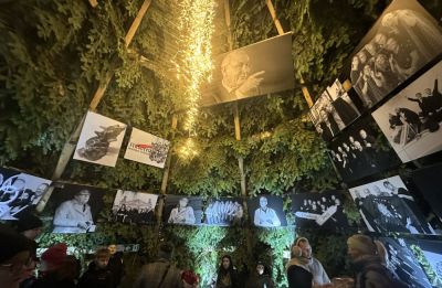 Die Stichlinge in der Riesentanne